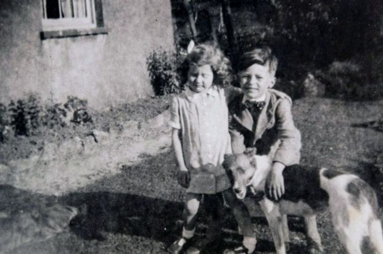 الصديق الوفي استمر يضع الزهور على قبر صديقه