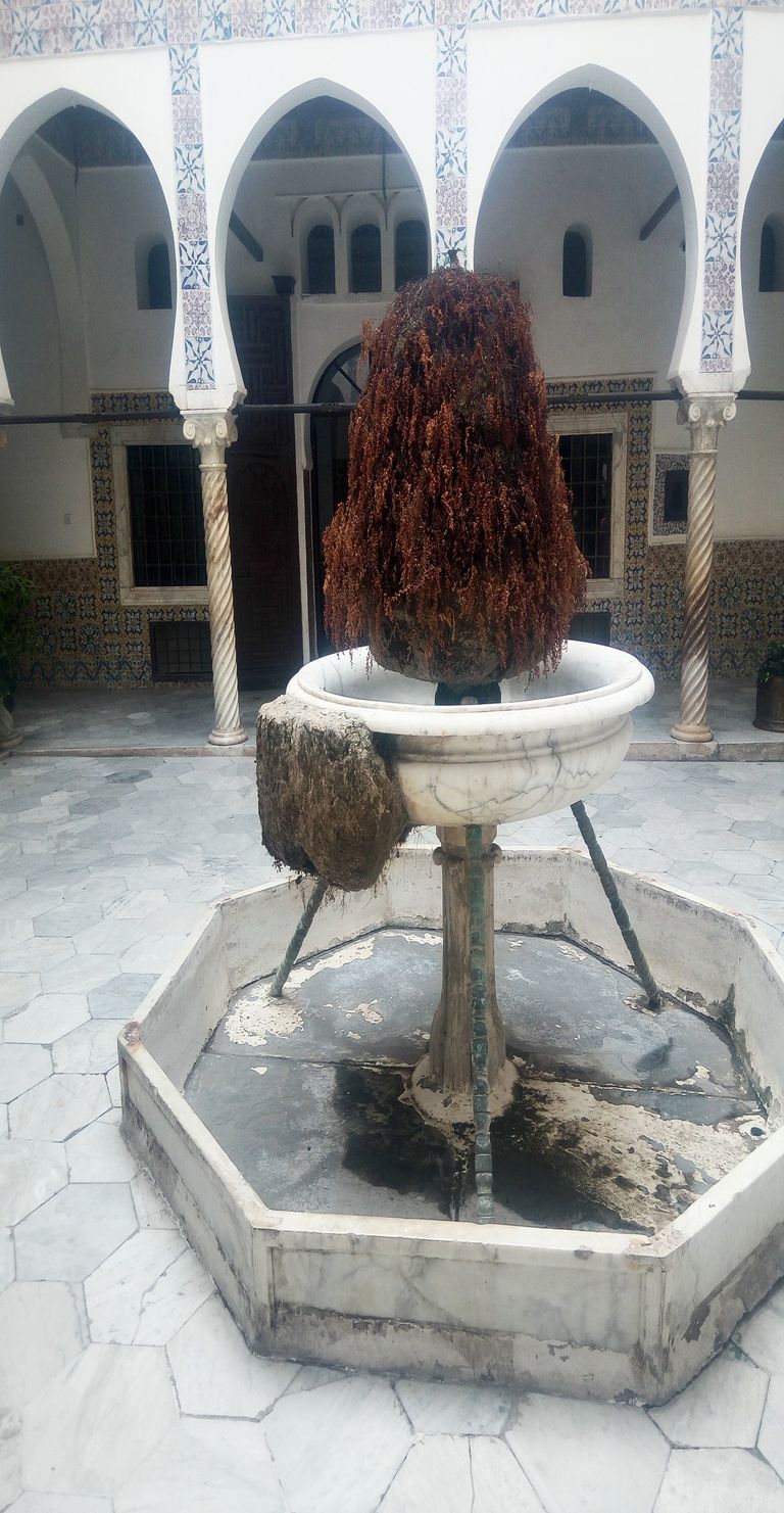 قصر مصطفى باشا بالجزائر