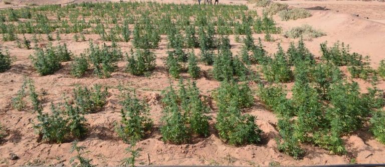 أحد المخابئ الذي تستخدمه عناصر تكفيرية في وسط سيناء