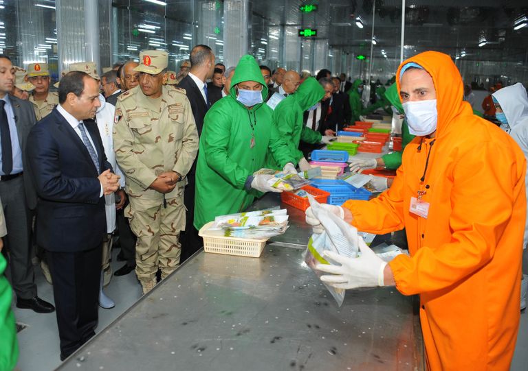 الرئيس المصري عبدالفتاح السيسي أثناء افتتاح المزرعة السمكية المتكاملة