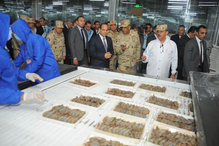 الرئيس المصري عبدالفتاح السيسي أثناء افتتاح المزرعة السمكية المتكاملة