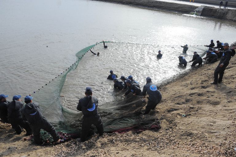 الرئيس المصري عبدالفتاح السيسي أثناء افتتاح المزرعة السمكية المتكاملة