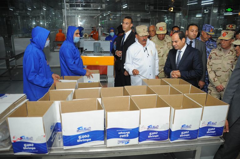 الرئيس المصري عبدالفتاح السيسي أثناء افتتاح المزرعة السمكية المتكاملة