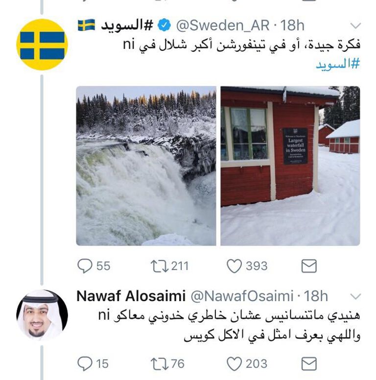 الفنان المصري محمد هنيدي