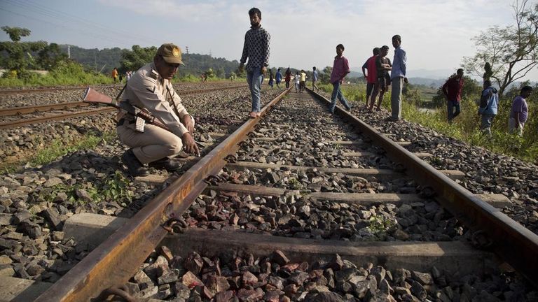 قطار يقتل فيلين آسيويين في الهند