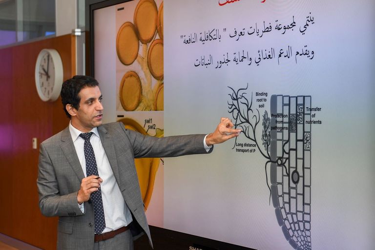 لحظة الإعلان عن الاكتشاف العلمي الجديد