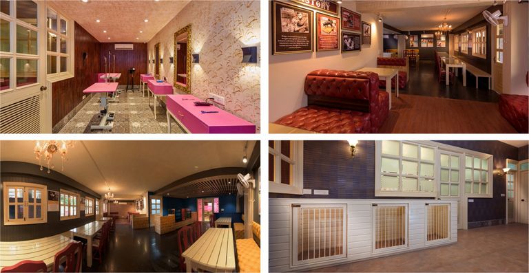 بالفيديو والصور.. أول فندق للكلاب في الهند