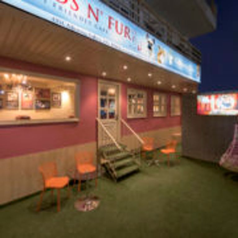 بالفيديو والصور.. أول فندق للكلاب في الهند