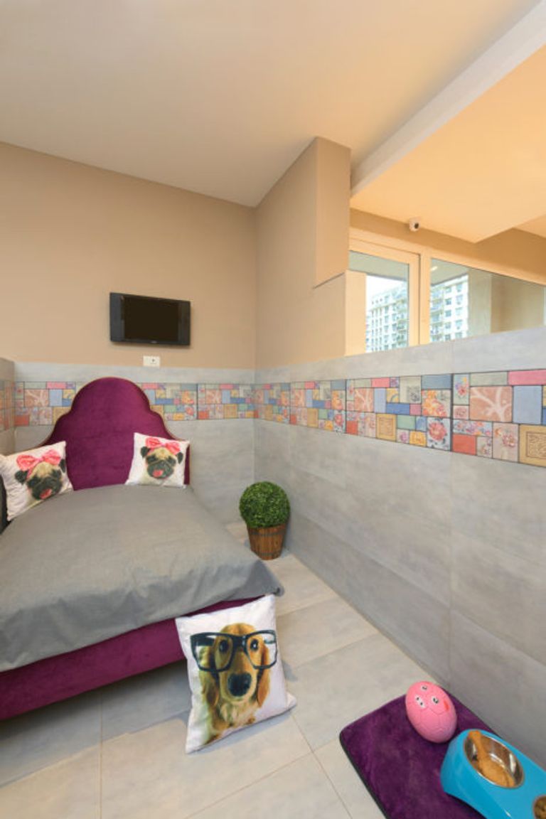 بالفيديو والصور.. أول فندق للكلاب في الهند