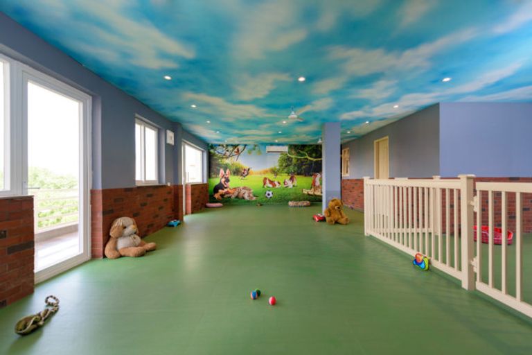 بالفيديو والصور.. أول فندق للكلاب في الهند