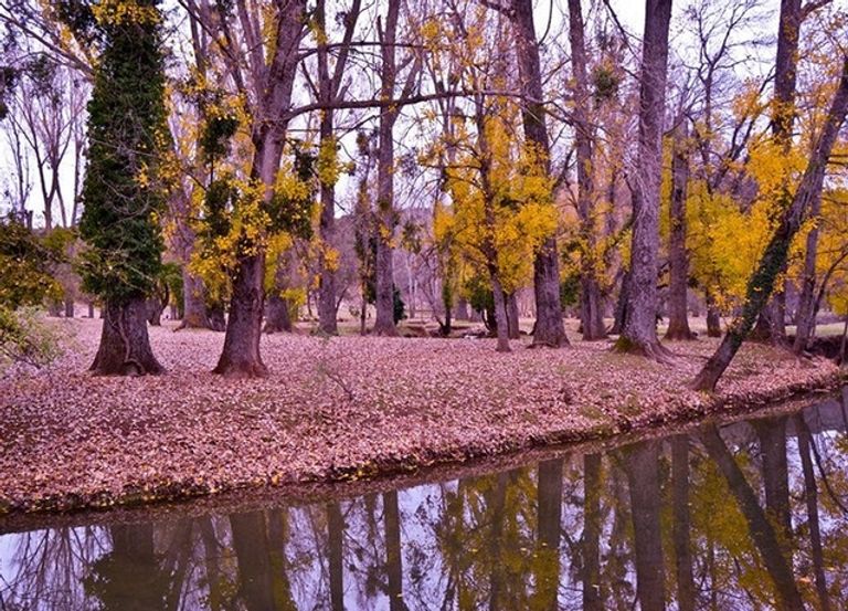 مدينة إفران المغربية