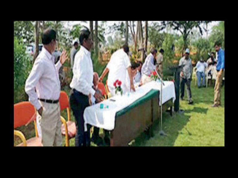 النحل أربك حفل الافتتاح بحضور الوزير