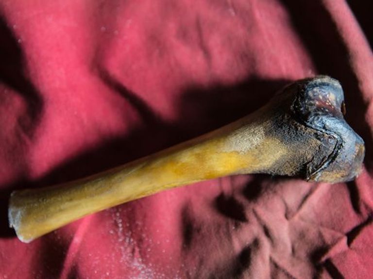 حكايات الإنسان الجليدي تتردد منذ قرون