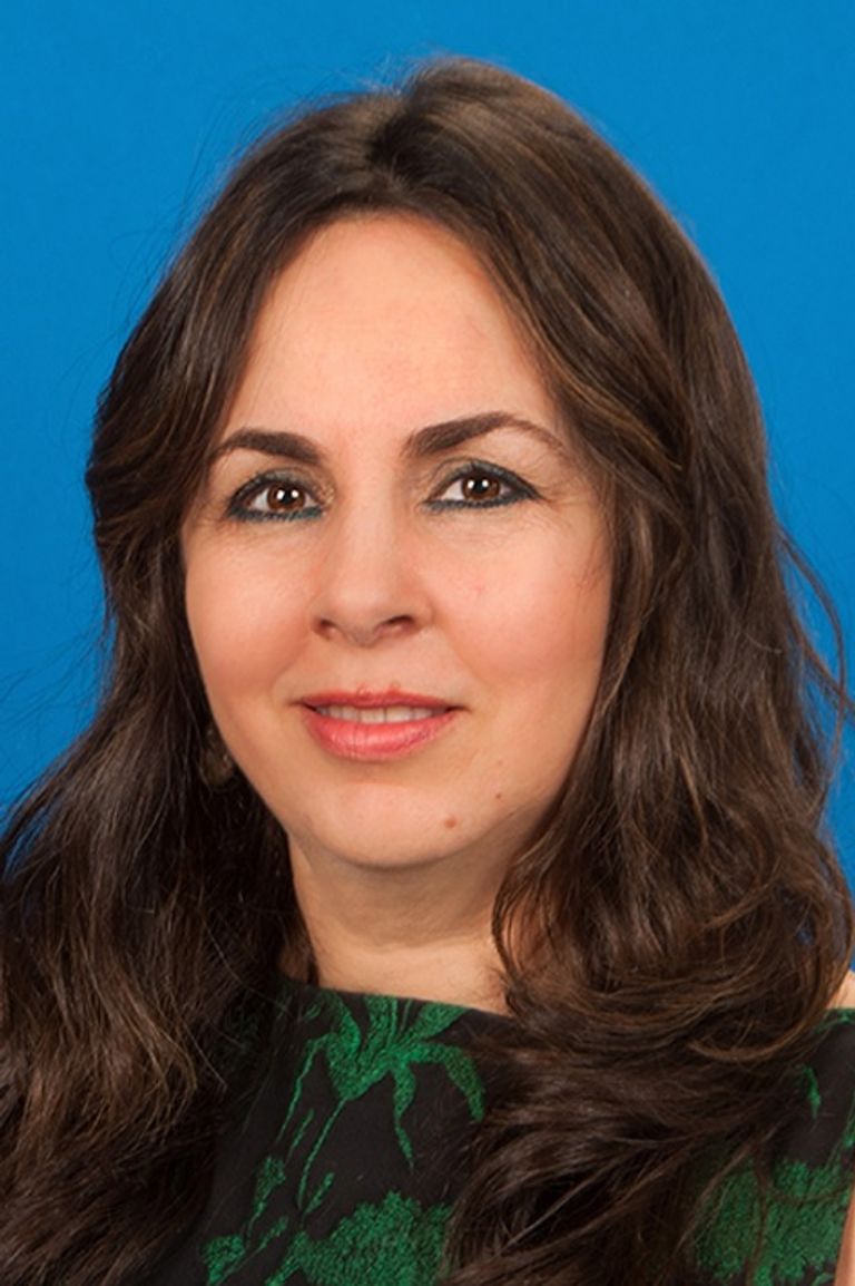 احتفاء خاص لسفراء جائزة الشيخ زايد