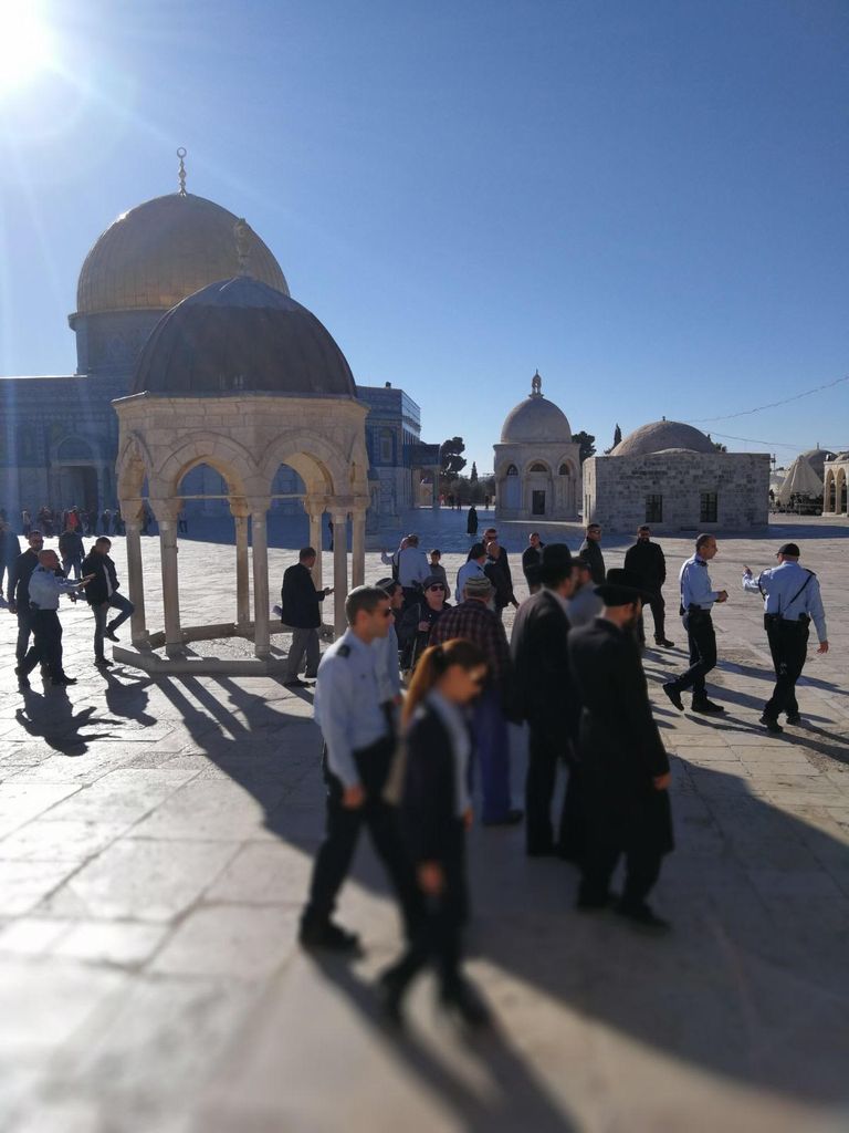 المستوطنون عند قبة الصخرة