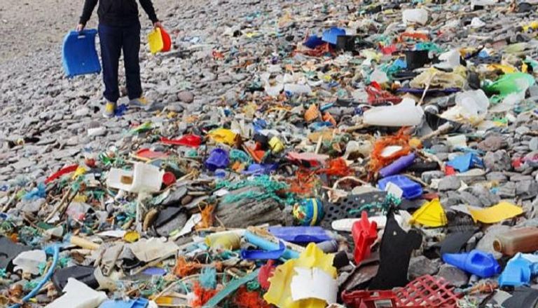 العلماء عثروا على ألياف من البلاستيك بمعدة المأكولات البحرية 
