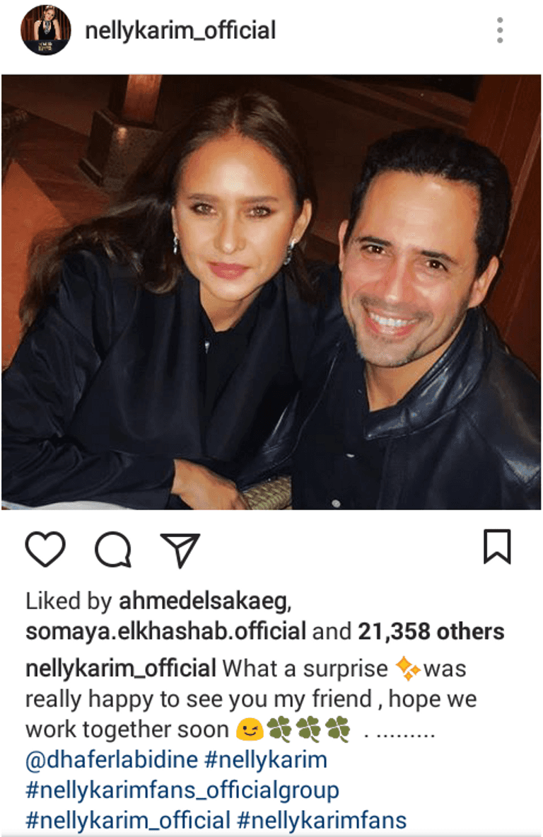 نيللي كريم وظافر العابدين