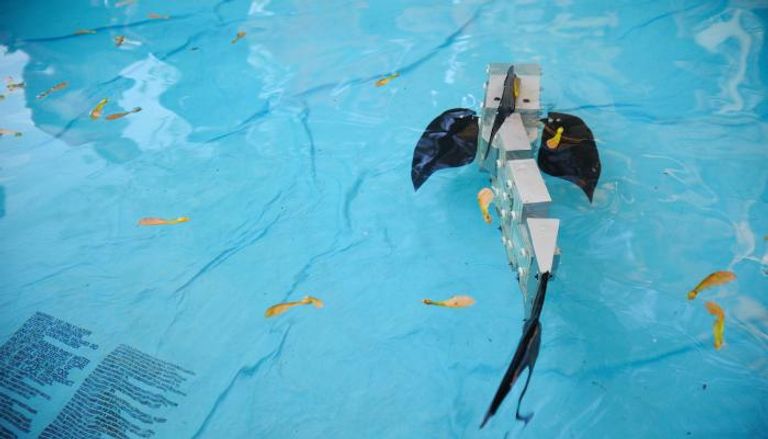 الروبوت الجديد يسبح مثل السمكة الحية