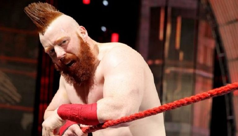 شيموس يؤدي تدريبات التعافي