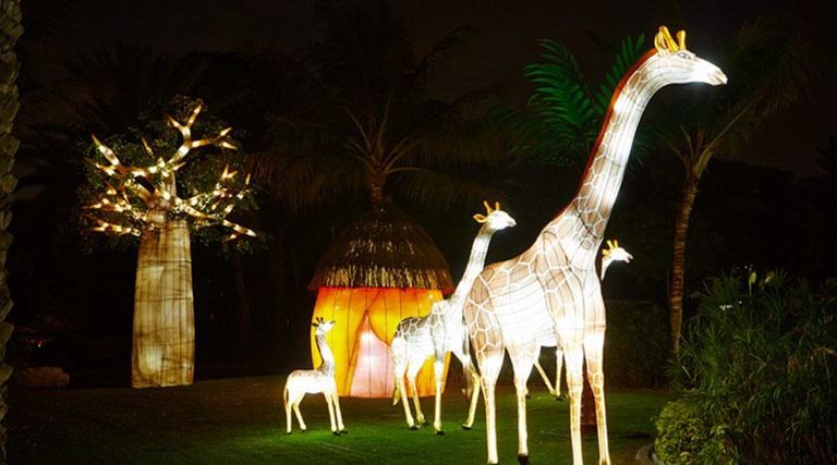 دبي جاردن جلو