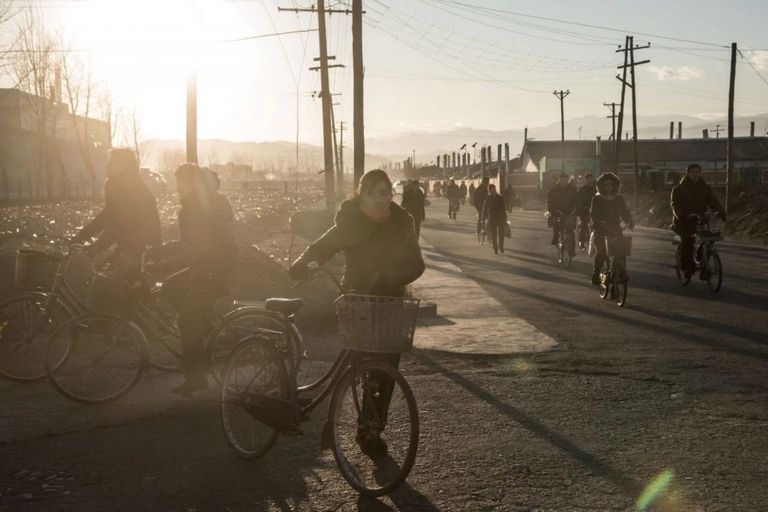 كوريات تسحبن عربات محملة بثمار الملفوف