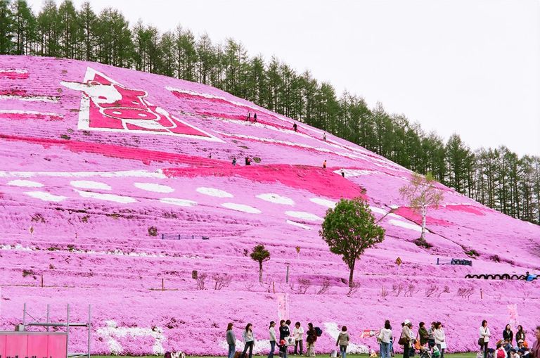 حديقة "هيجاشيموكوتو" 