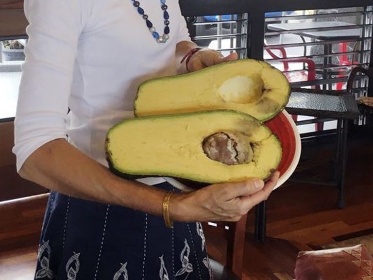 وانج عثرت على ثمرة الأفوكادو بالصدفة