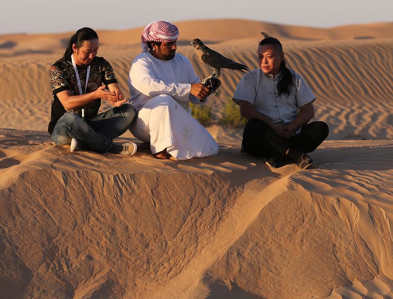 الصيد بالصقور.. تراث وتاريخ مهرجان الصداقة الدولي للبيرزة