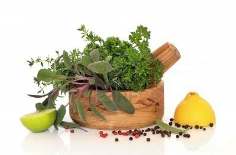 الأعشاب لعلاج الخمول فى الجسم علاج الخمول في الجسم