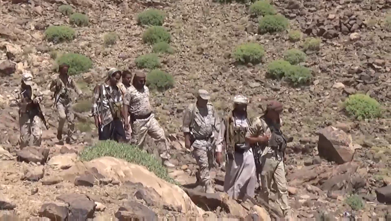 الجيش اليمني على جبهة ميدي