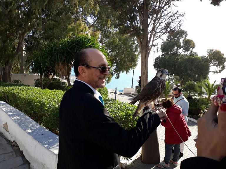 صبحي مع أشهر صقر في بوسعيد محمد صبحي يحتفل بتكريمه في مهرجان قرطاج المسرحي