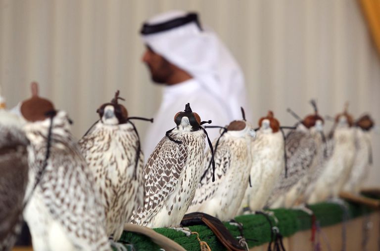 السوق الشعبي بمهرجان الظفرة