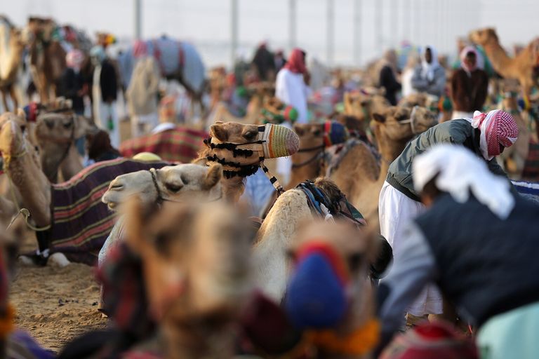 السوق الشعبي بمهرجان الظفرة