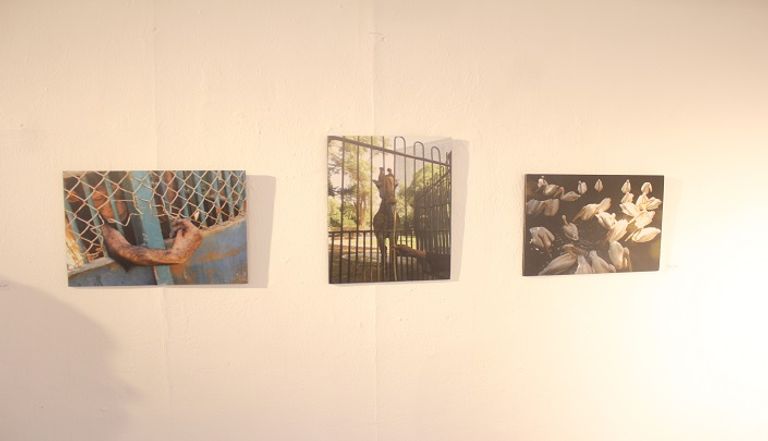 أحد المشاركين في معرض "لمسات إبداعية لمتحدي الإعاقة"