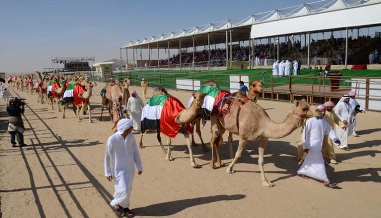 مهرجان الظفرة يعكس التراث الإماراتي