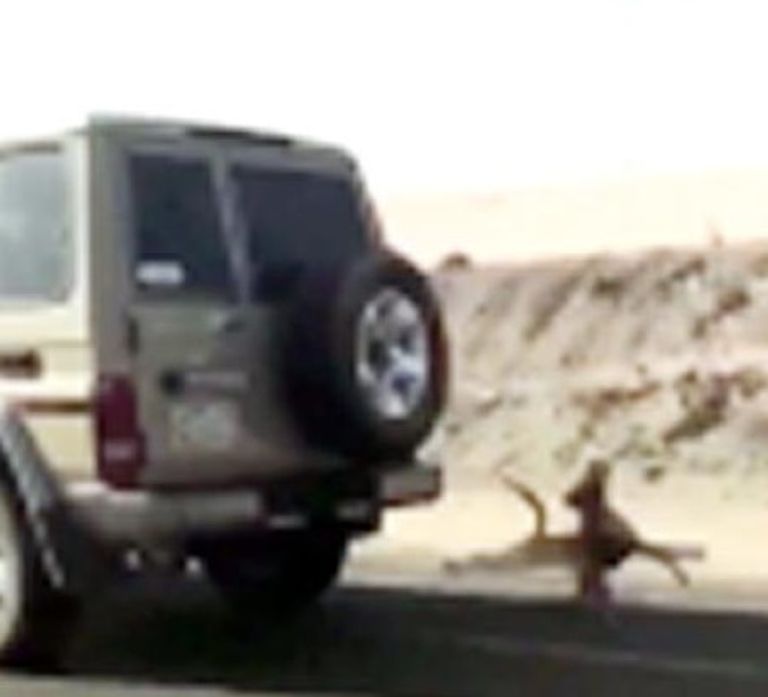 ضبط شخص-أرشيفية