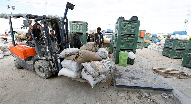 العام الماضي تضرر إنتاج الزيتون في تونس بشدة جراء الجفاف