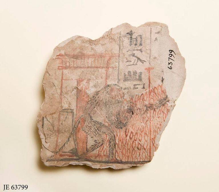 الحياة اليومية لفناني "دير المدينة" في المتحف المصري