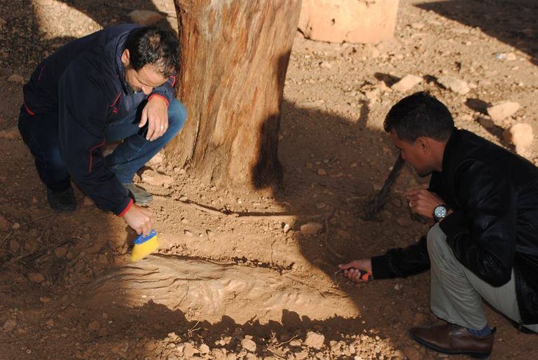 خلال التنقيب عن التمثال الاكتشاف الأثري بعد استخراجه