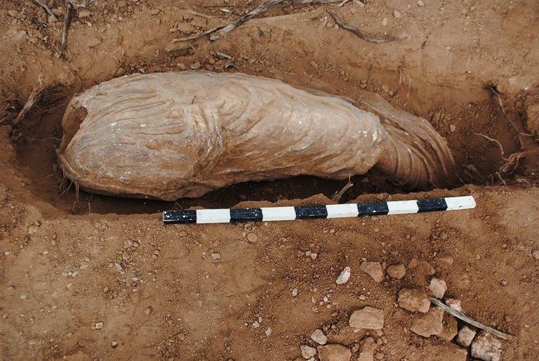 التمثال المكتشف الاكتشاف الأثري بعد استخراجه