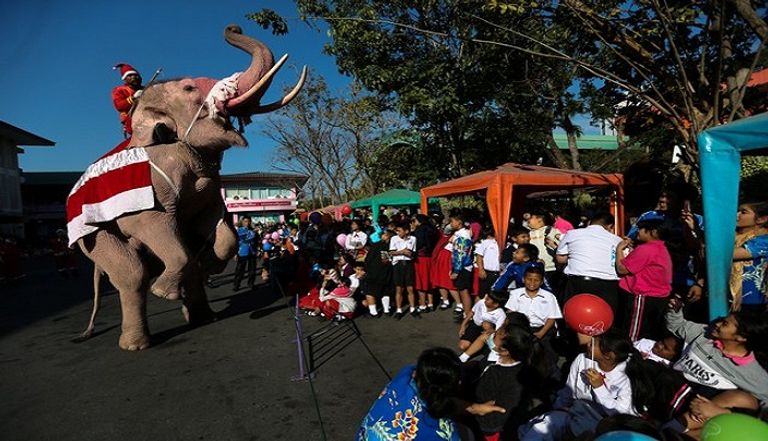  الأفيال ومَن يركبونها يوزعون الهدايا والبهجة