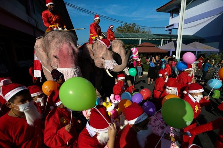 بالصور.. أفيال ترتدي زي "بابا نويل" في مدارس تايلاند