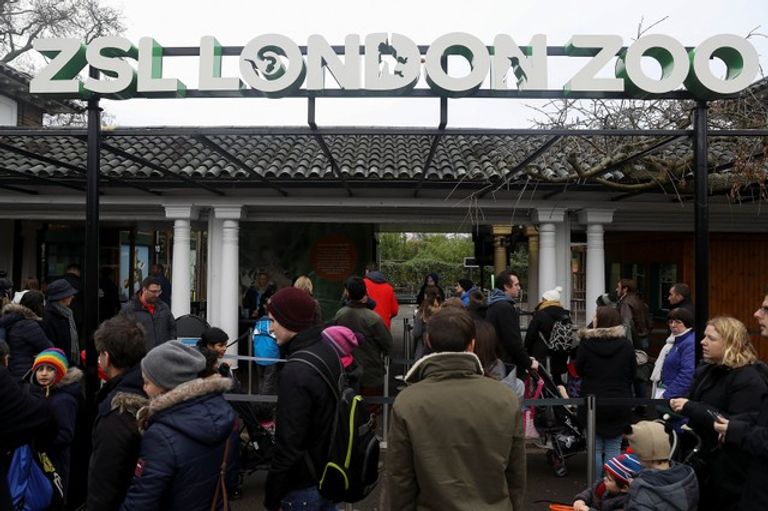 حديقة حيوان لندن
