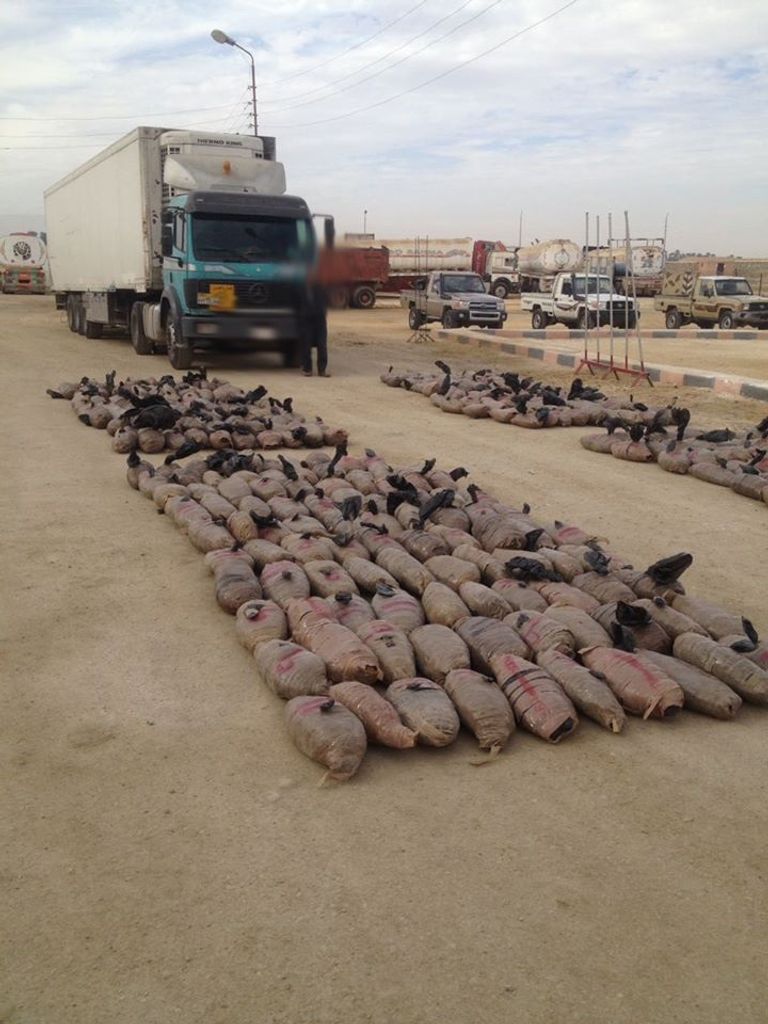 الجيش المصري يواصل جهود القضاء على العناصر التكفيرية والإجرامية بوسط سيناء صورة للقتلى التكفيريين