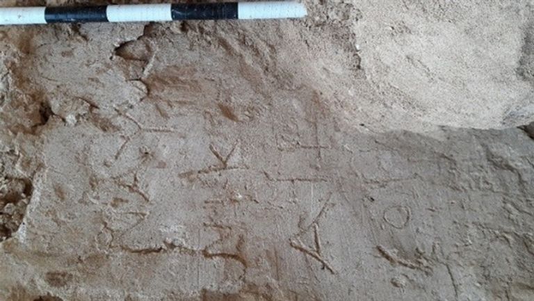 من الآثار المكتشفة خلال انتشال تمثال الملك بسماتيك الثاني الذي عُرف بتمثال "المطرية"