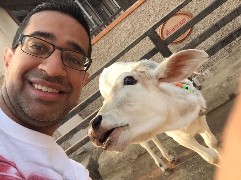 مسابقة للسيلفي مع البقر البقر.. الأسعد حظا في الهند خلال 2017