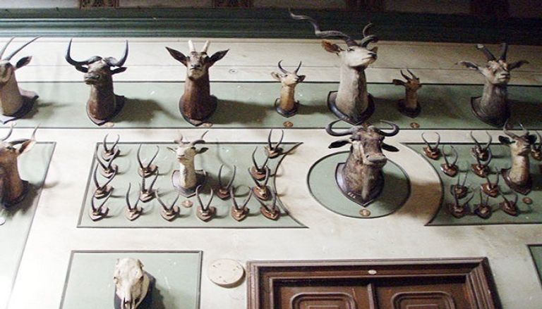 قسم الحيوانات بالمتحف الزراعي المصري المتحف الزراعي المصري من الخارج