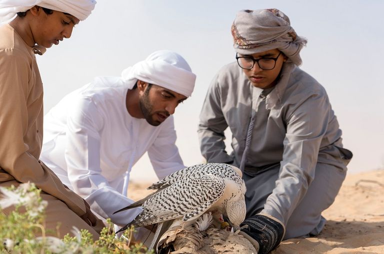 الصيد بالصقور من التراث الإماراتي الأصيل قبلة امتنان وتقدير من الشيخ محمد بن زايد لأبناء الشهداء