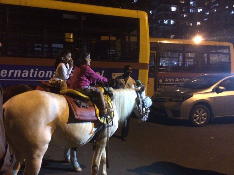 الأطفال الهنود يلهون بالخيول والوباء يهدد حياتهم  حركة الخيول محظورة في موسم الزفاف بالهند