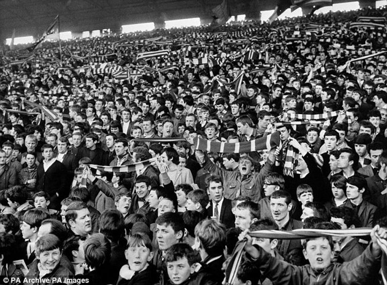 صورة القميص المعروض